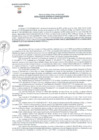 Vista preliminar de documento RESGER-49-2023