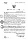 Vista preliminar de documento RDR N° 0001-2022 GOB-REG-HVCA-DIRESA