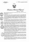 Vista preliminar de documento RDR N° 0016-2022 GOB-REG-HVCA-DIRESA