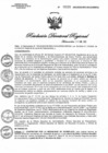Vista preliminar de documento RDR N° 0028-2022 GOB-REG-HVCA-DIRESA