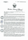 Vista preliminar de documento RDR N° 0100-2022 GOB-REG-HVCA-DIRESA