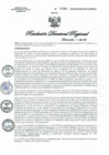 Vista preliminar de documento RDR N° 0160-2022 GOB-REG-HVCA-DIRESA