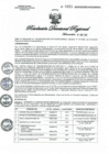 Vista preliminar de documento RDR N° 0221-2022 GOB-REG-HVCA-DIRESA