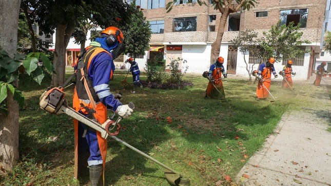 El Servicio de Gestión Ambiental de Trujillo (Segat) ha intensificado el podado de árboles, corte de grass y eliminación de maleza de parques y jardines, embelleciendo la urbe.