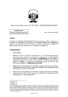 Vista preliminar de documento RD 807-2021
