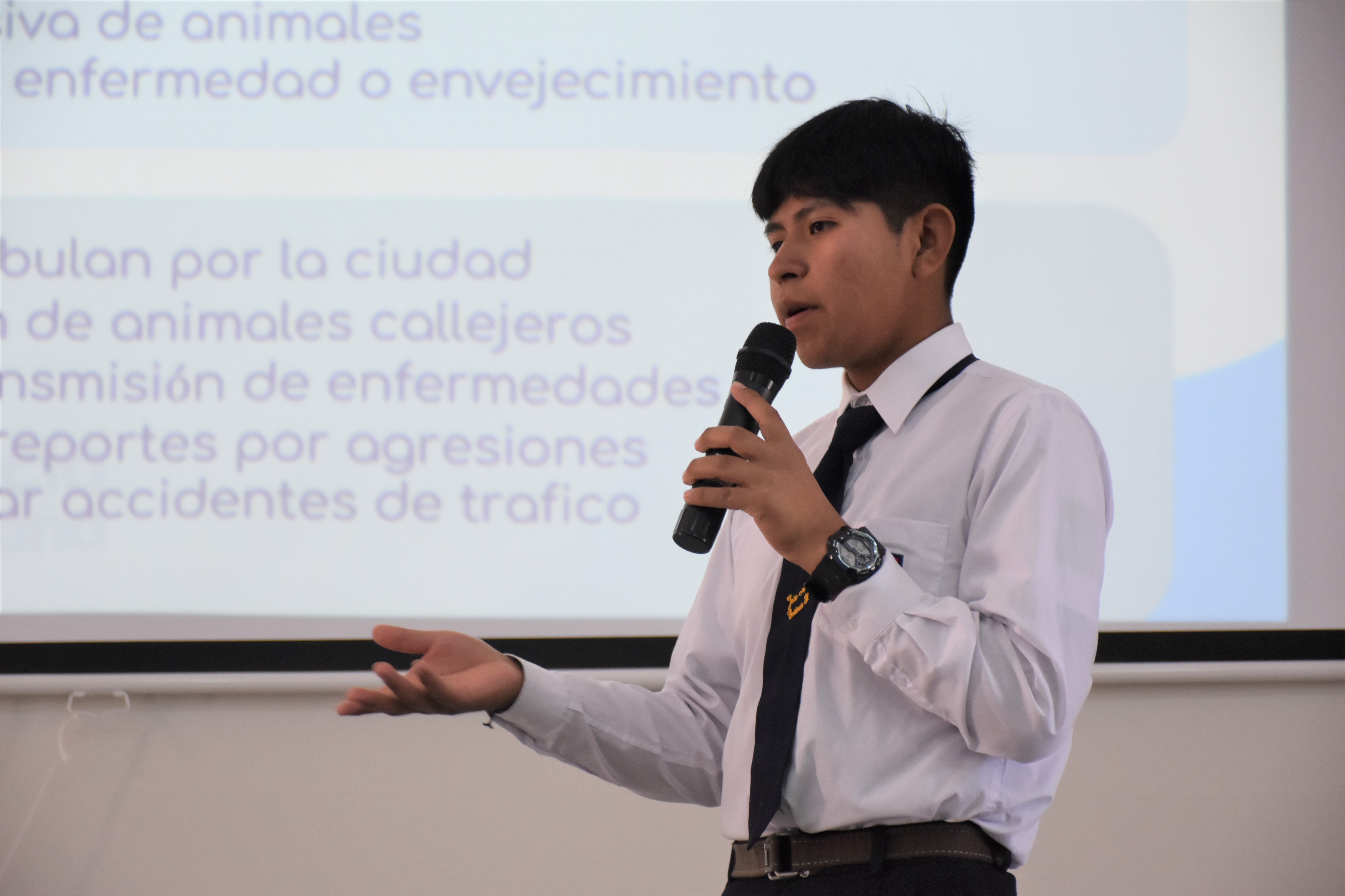 Archivo JPG de actividad