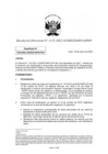 Vista preliminar de documento RD 1115-2022