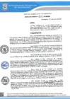 Vista preliminar de documento Resolucion Gerencial 877 QR