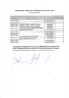 Vista preliminar de documento RESULTADOS FINALES EVALUACION DE PRACTICAS PROFESIONALES