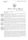 Vista preliminar de documento RDR N° 0007-2020 GOB-REG-HVCA-DIRESA