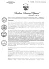 Vista preliminar de documento RDR N° 0044-2020 GOB-REG-HVCA-DIRESA