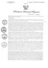 Vista preliminar de documento RDR N° 0053-2020 GOB-REG-HVCA-DIRESA