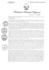 Vista preliminar de documento RDR N° 0055-2020 GOB-REG-HVCA-DIRESA