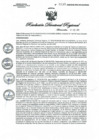 Vista preliminar de documento RDR N° 0130-2020 GOB-REG-HVCA-DIRESA