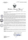 Vista preliminar de documento RDR N° 0207-2020 GOB-REG-HVCA-DIRESA
