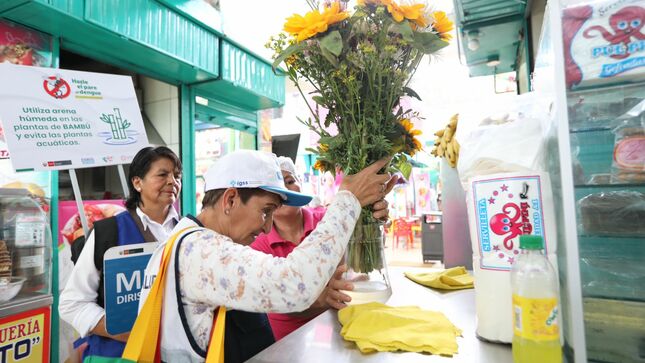Visita a Mercados de Flores por prevención del dengue - 1