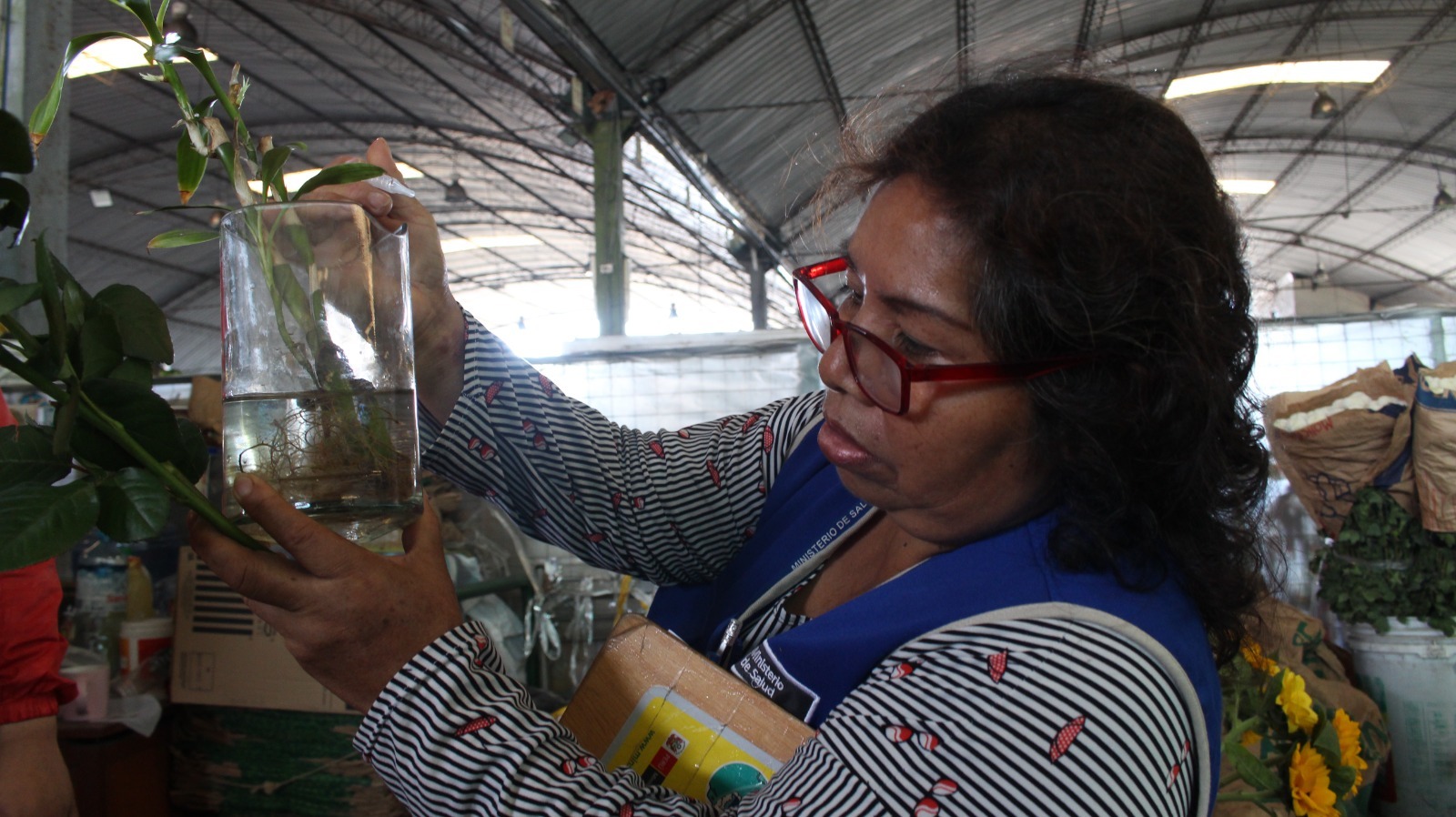 Visita a Mercados de Flores por prevención del dengue - 2