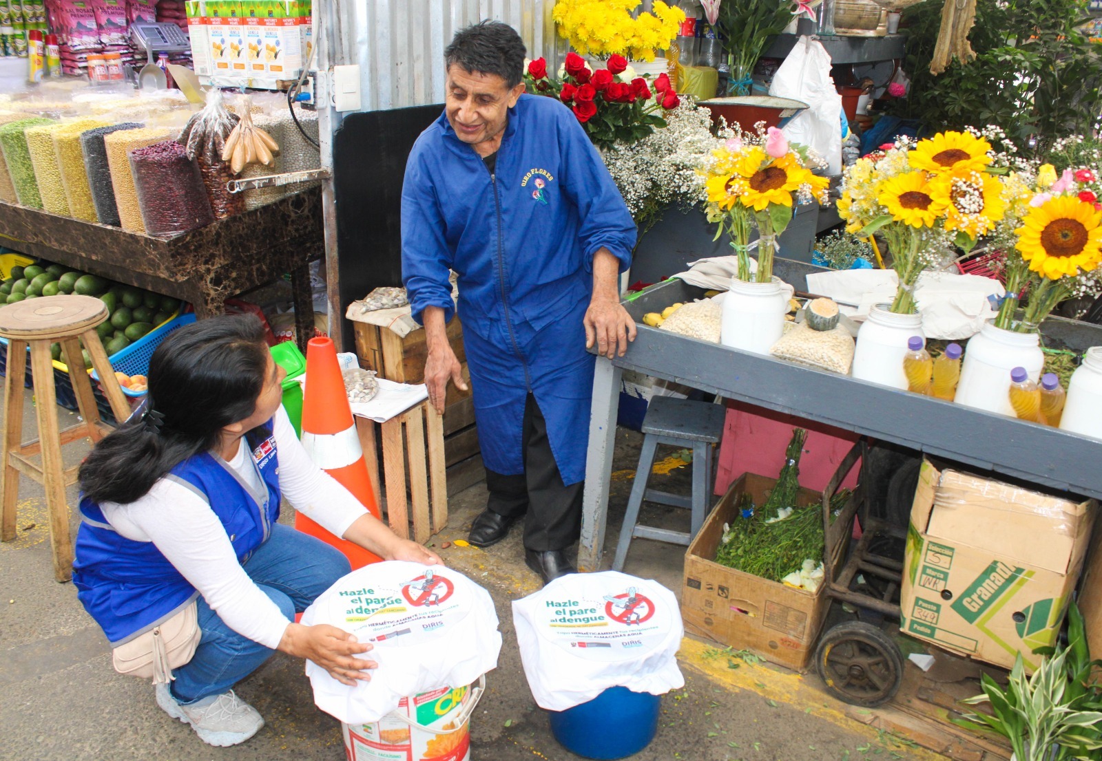 Visita a Mercados de Flores por prevención del dengue - 3