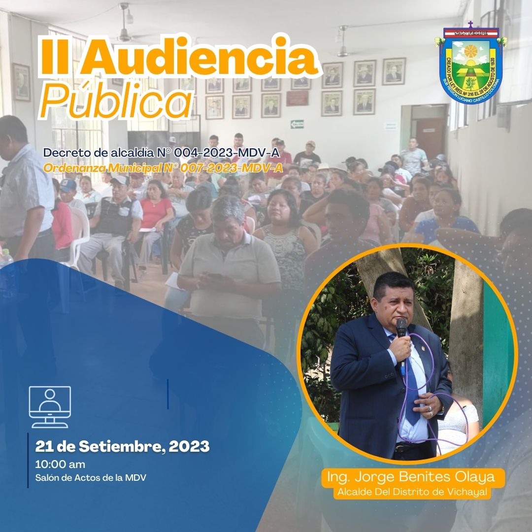 II Audiencia Pública