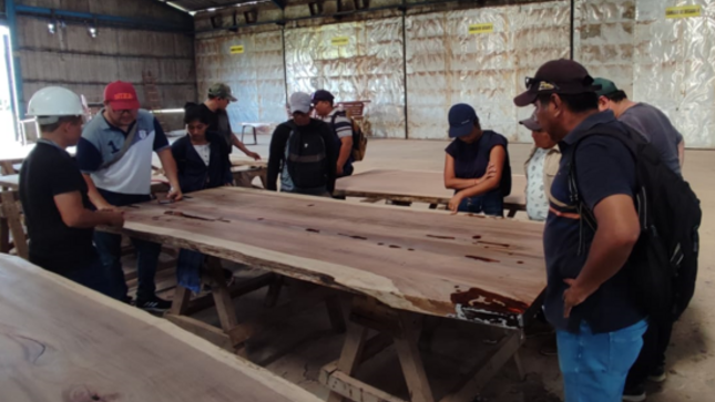 asesoran a los centros de transformación primaria