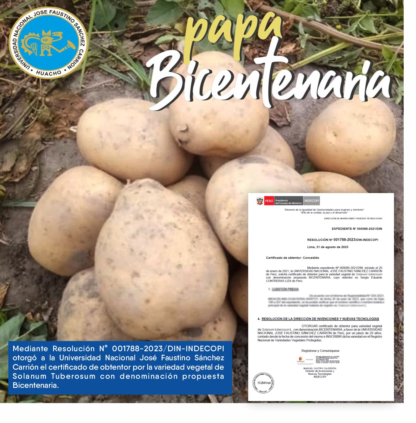 INDECOPI otorgó a la UNJFSC el certificado de obtentor por la variedad vegetal de Solanum Tuberosum.