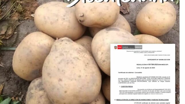 INDECOPI otorgó a la UNJFSC  el certificado de obtentor por la variedad vegetal de Solanum Tuberosum.