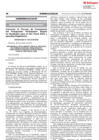 Vista preliminar de documento E. Publicacion en Diario Peruano