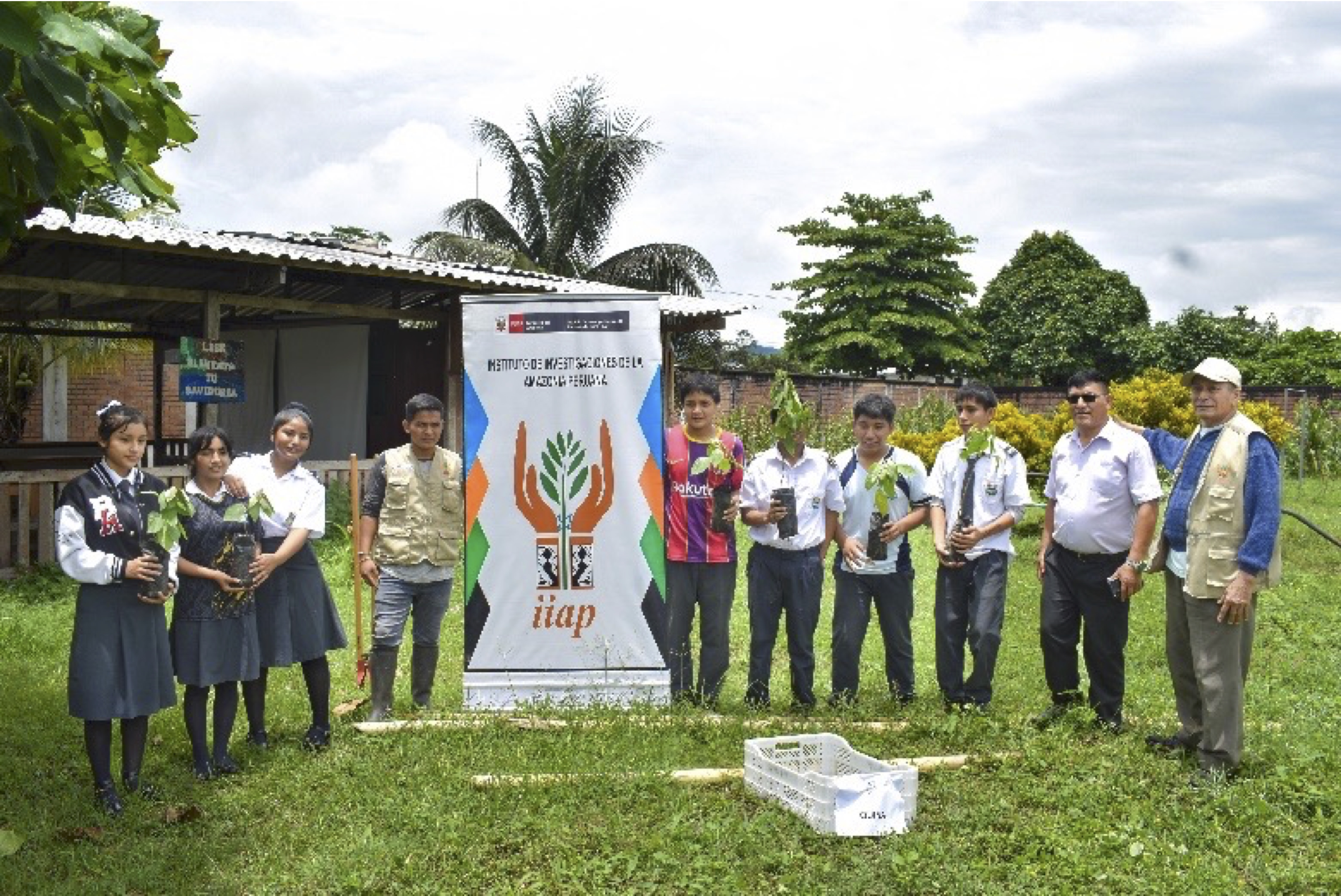 IIAP realiza campaña de arborización en institución educativa de Huánuco