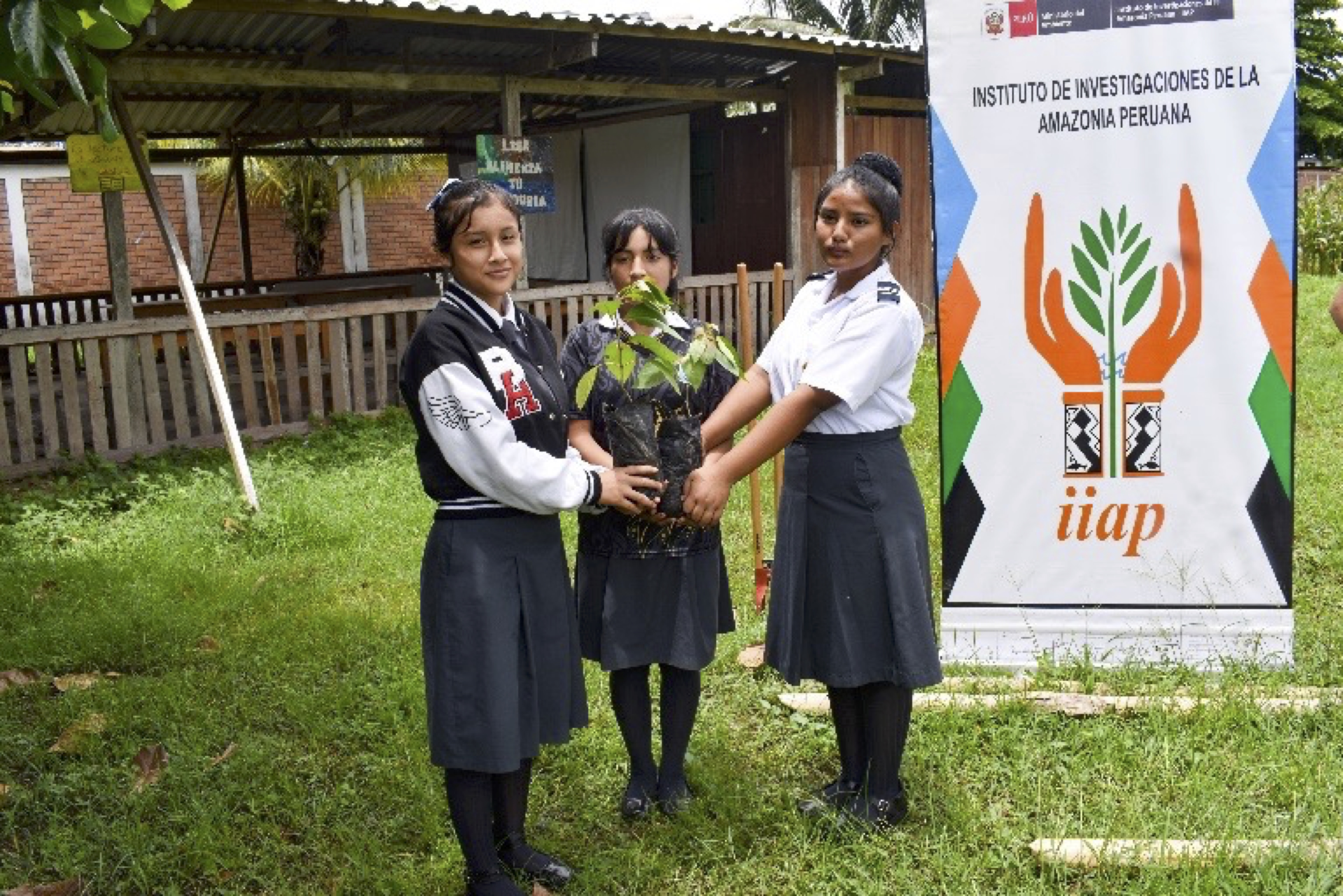 IIAP realiza campaña de arborización en institución educativa de Huánuco