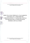 Vista preliminar de documento Directiva-R.A. N°255-2023-MDS-A
