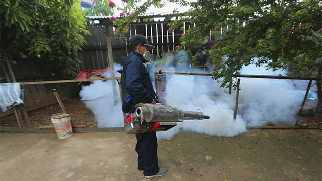 Minsa continua con las acciones para combatir el dengue