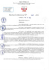 Vista preliminar de documento RD N 897