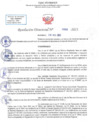 Vista preliminar de documento RD N 899
