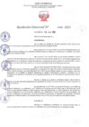 Vista preliminar de documento RD N 903