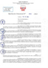 Vista preliminar de documento RD N 906