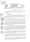 Vista preliminar de documento RD N 908