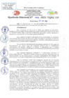Vista preliminar de documento RD N 909