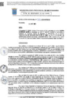 Vista preliminar de documento Resolucion Gerencial 885 QR