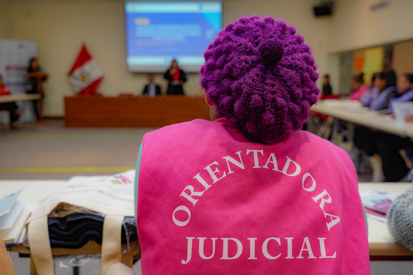 Lideresas Comunitarias reciben importante taller de capacitación para unificar criterios en la ruta de atención en casos de violencia