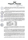 Vista preliminar de documento RESOLUCION DIRECTORAL REGIONAL N° 262-2023-GRU-DRTC