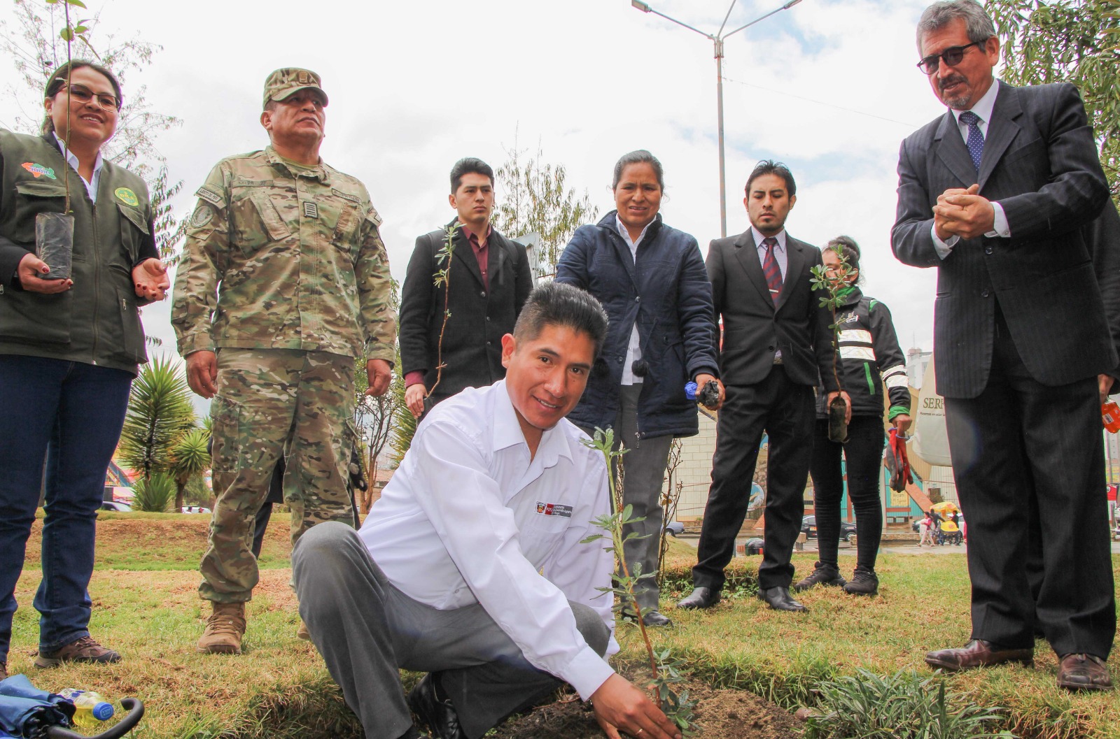 Bosques en todas partes al mismo tiempo