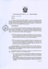 Vista preliminar de documento RD Nº 029-2020-DE