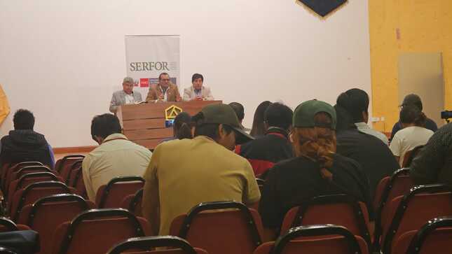 En Arequipa se plantarán más de 20 mil árboles 