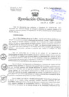 Vista preliminar de documento R.D.N° 321-2023-DG-HNHU + LISTA DE CHEQUEOS DE CONSEJERIA