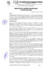 Vista preliminar de documento 348. RESOLUCIÓN DE COMISIÓN ORGANIZADORA N° 0348-2023-UNAH