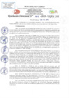 Vista preliminar de documento RD N 912