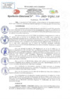 Vista preliminar de documento RD N 914