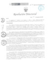 Vista preliminar de documento RD 245-2023-DG-HSB