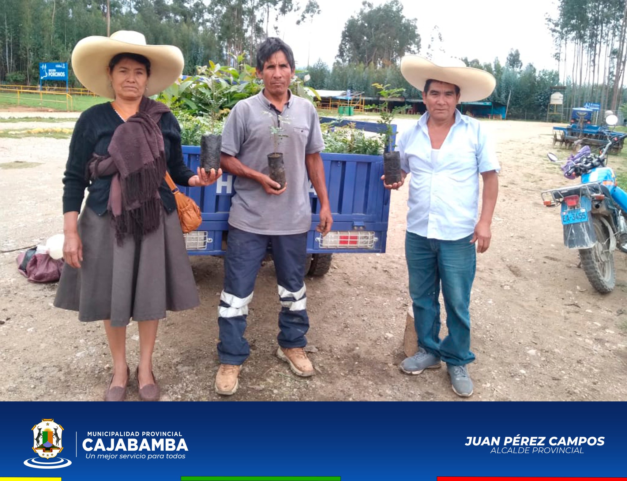 Distribución de Plantas de Tara y Frutales a Pequeños Productores