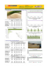 Vista preliminar de documento Boletín de abastecimiento y precio del ARROZ - 26/10/23